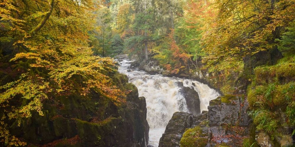 Dunkeld Forest Walk - 3 Day Loch Ness & Skye