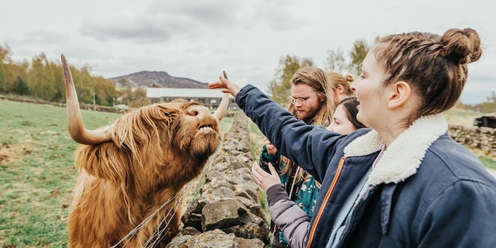 Hairy Coo - 4 Day Skye Spectacular