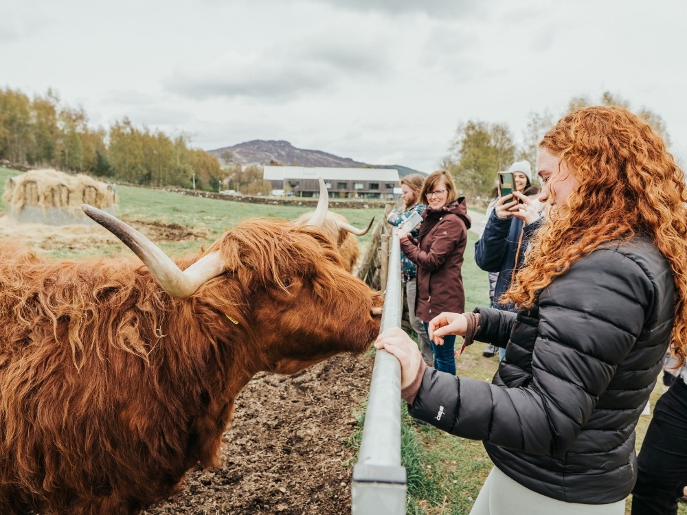 Hairy Coo - 3 Day Isle of Skye Tour